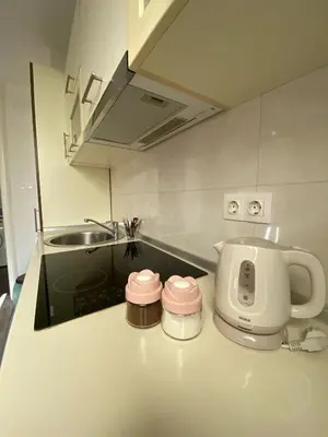 a kitchen counter with a mixer and a sink at Skylight studio Banja Luka in Banja Luka