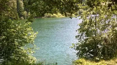 a green river with trees in front of it at Apartman Zeko in Kupres