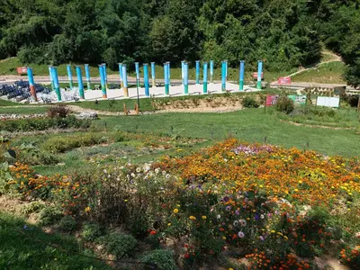 a garden with colorful flowers in a field at L’appartement de la Pyramide du Soleil in Visoko