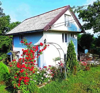 a small blue and white house with red flowers at Guest House Bee in Visoko