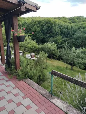 a garden with a wooden bench and plants at Guest House Bee in Visoko
