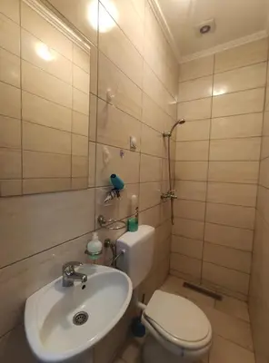 a bathroom with a sink and a toilet and a shower at Apartmani Nova Topola in Nova Topola