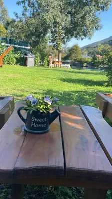 a pot of flowers sitting on a wooden table at House De Luxe in Bihać