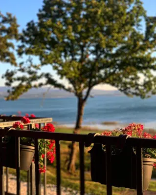 a group of potted plants on a fence with a tree at Lake House Beliz in Livno