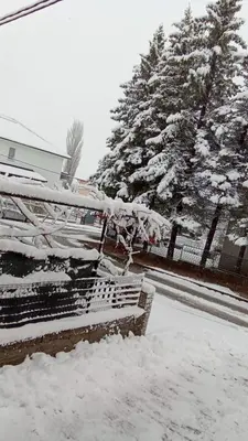 a bench covered in snow in front of trees at Apartman Bor in Livno