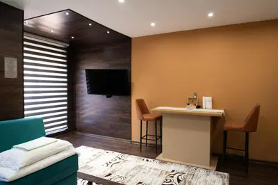 a hotel room with a bar and a tv at Ema, Asja, Eda Apartments in Zenica