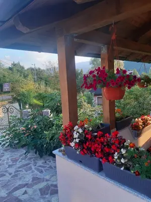 a group of flowers in pots on a patio at Unique Una in Ripač