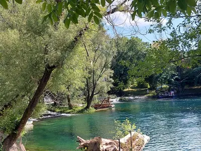 a river with green water and trees on the side at Unique Una in Ripač