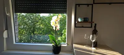 a window with a flower in a vase in a kitchen at Apartman Jakša in Prijedor