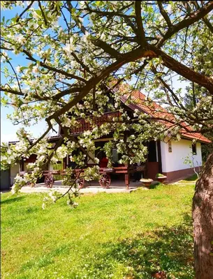 a house with a tree with white flowers on it at Vikendica odmor za dusu in Visoko