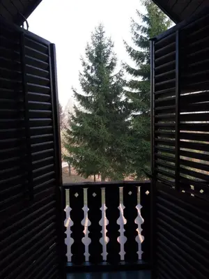 a view of a pine tree through a gate at Vikendica odmor za dusu in Visoko